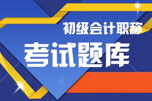 2020年初级会计《初级会计实务》模拟题（1）