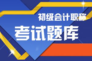 2020年初级会计《初级会计实务》模拟题（1）